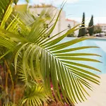 Apartman Guestready - The Perfect Place To Relax In